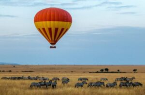 Southern Africa tours
