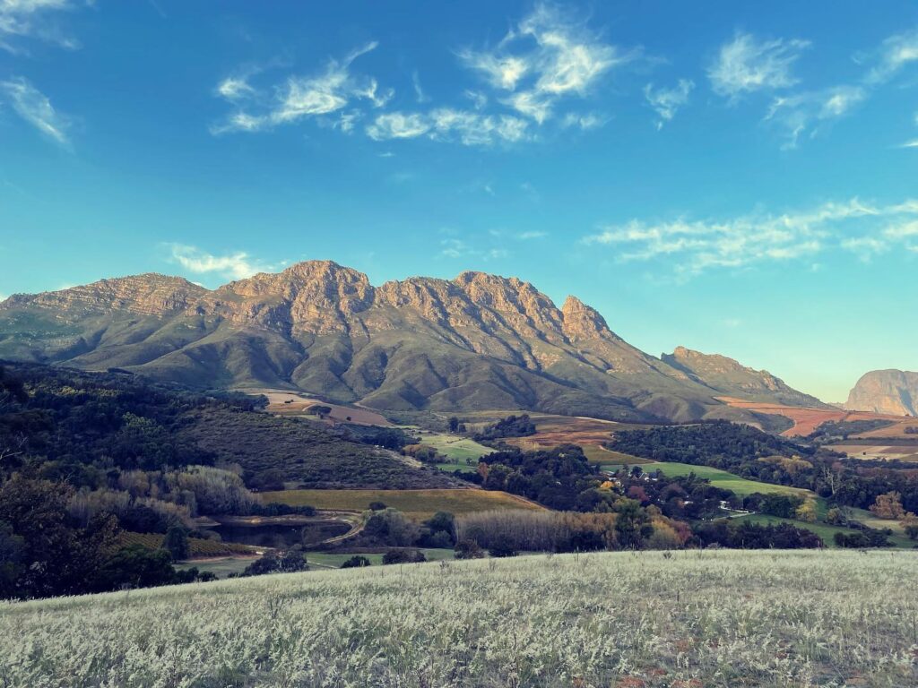 wine farms in Stellenbosch