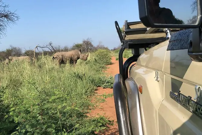 game drives in Pretoria
