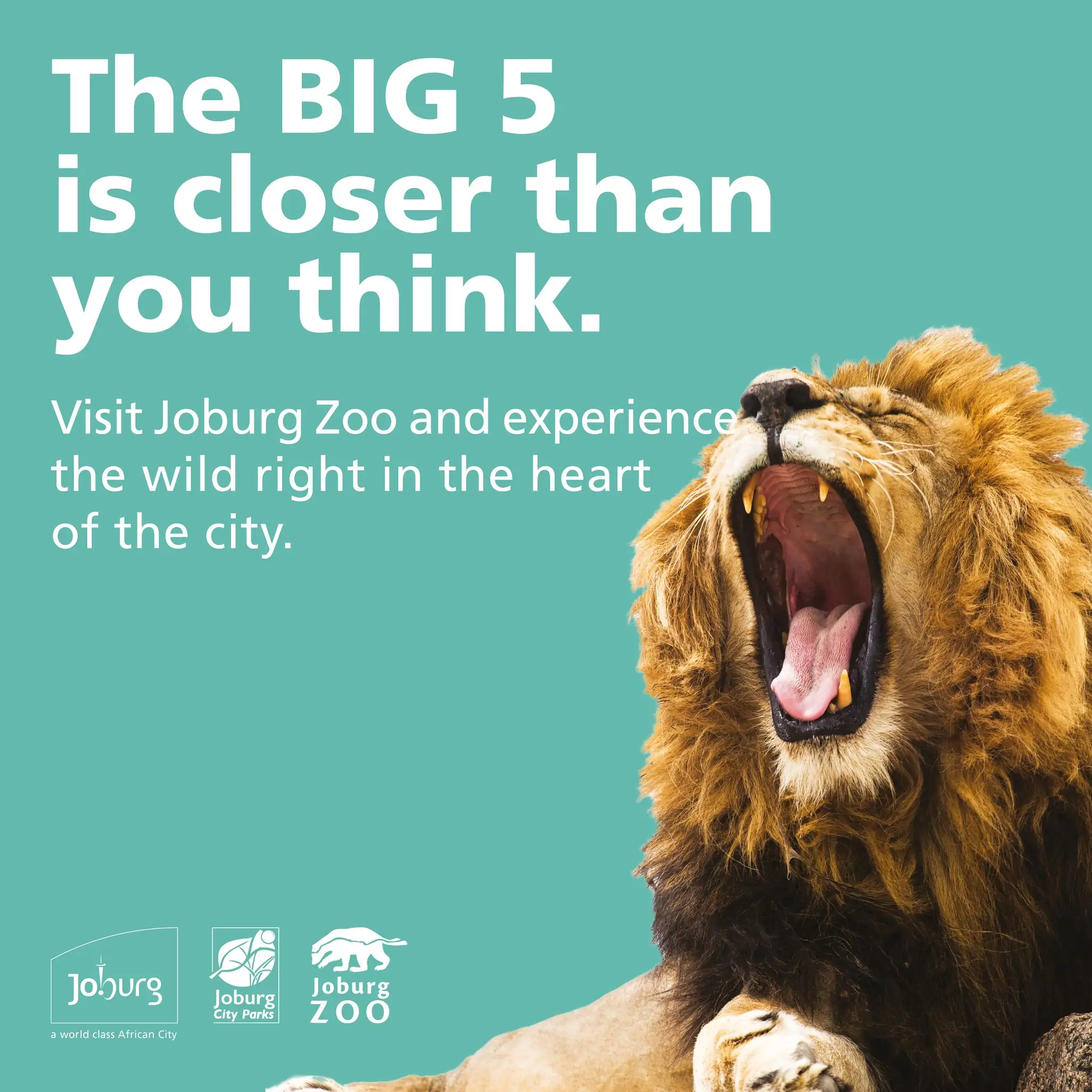 Joburg Zoo entrance fee