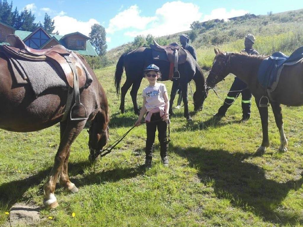 horse riding in Lesotho