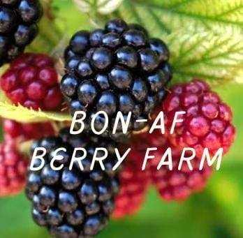 Bon-Af Berry Farm