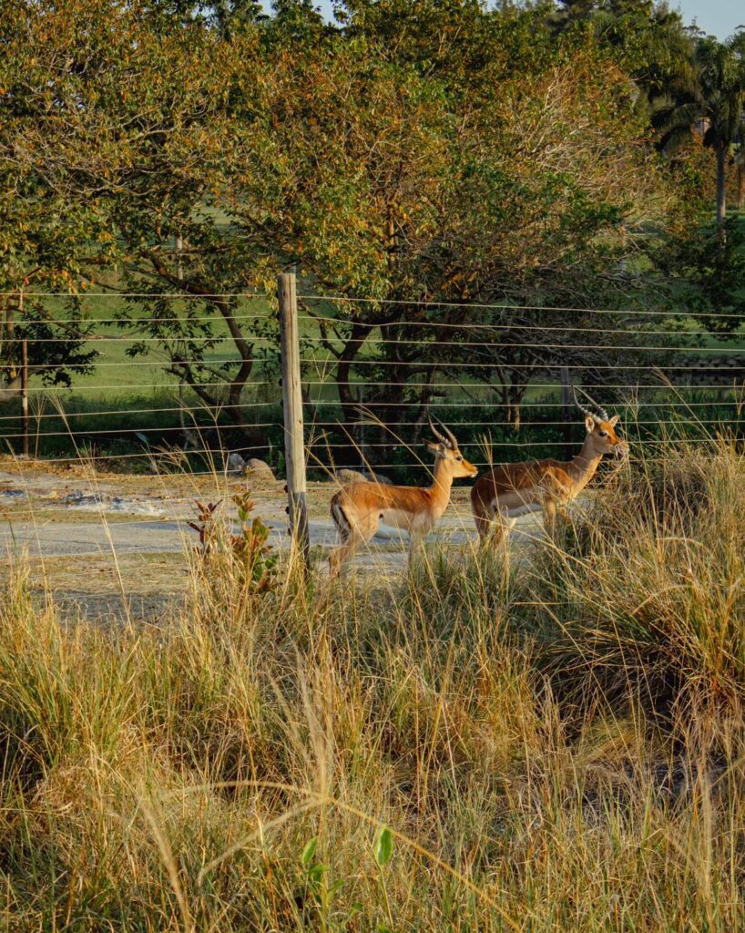 River Valley Nature Reserve