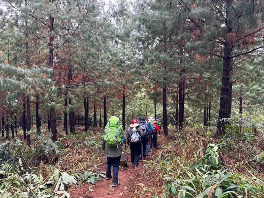 Magoebaskloof Hiking Trail