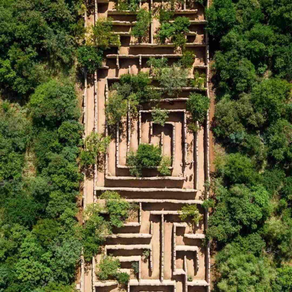 Maze of the lost City