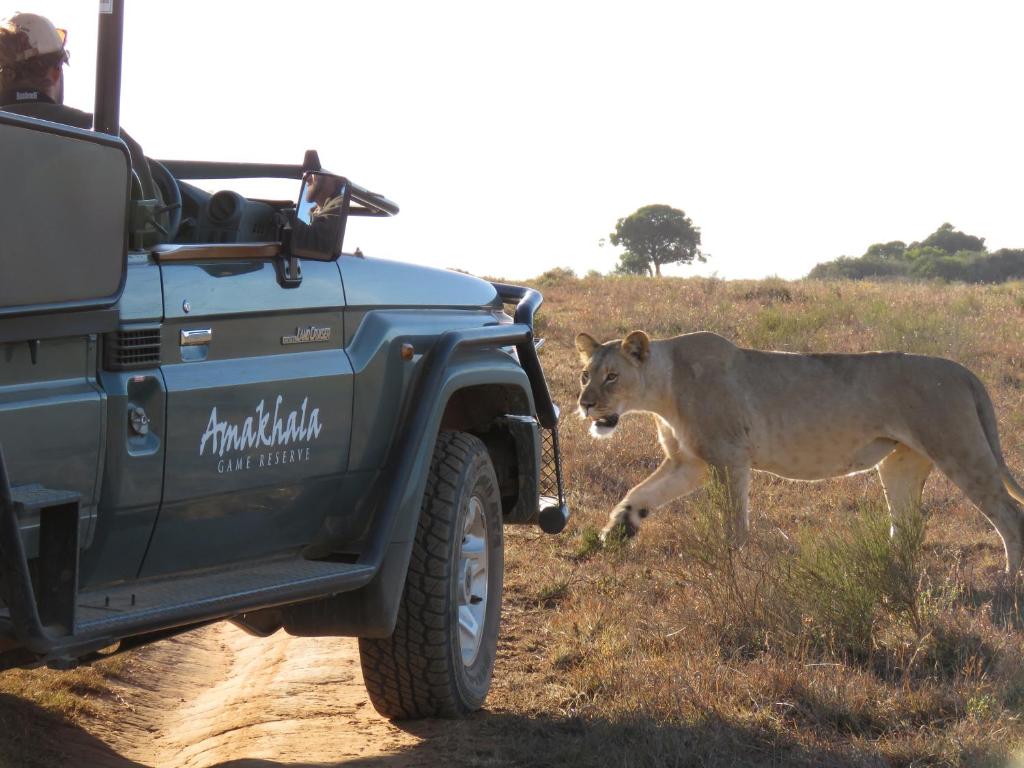 Amakhala Game Reserve