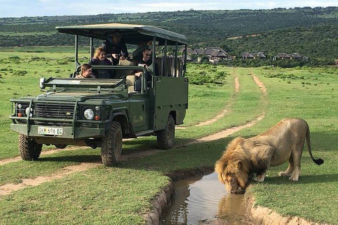 Pumba Private Game Reserve