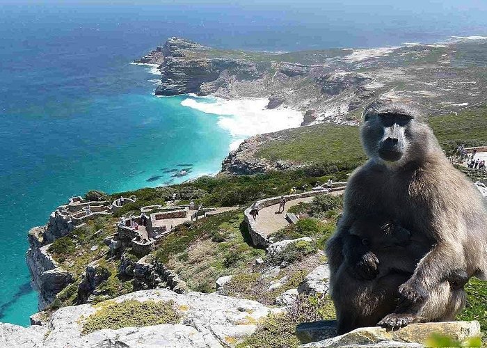 cape point