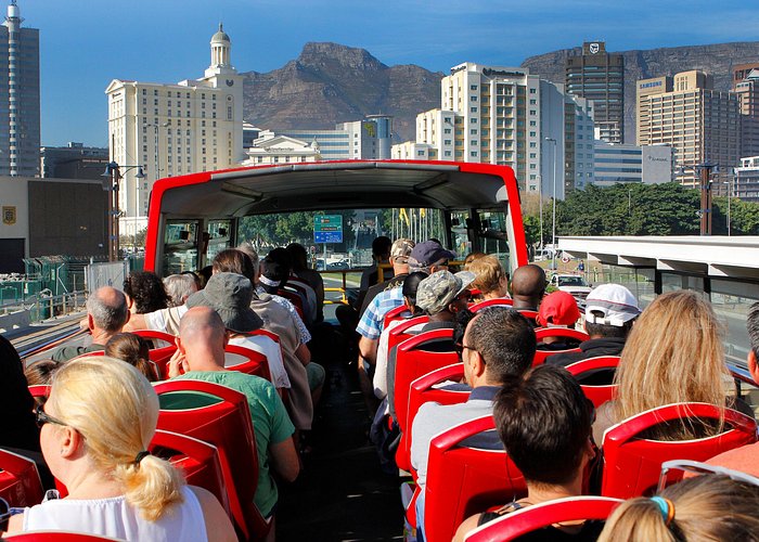 Cape Town Red Bus