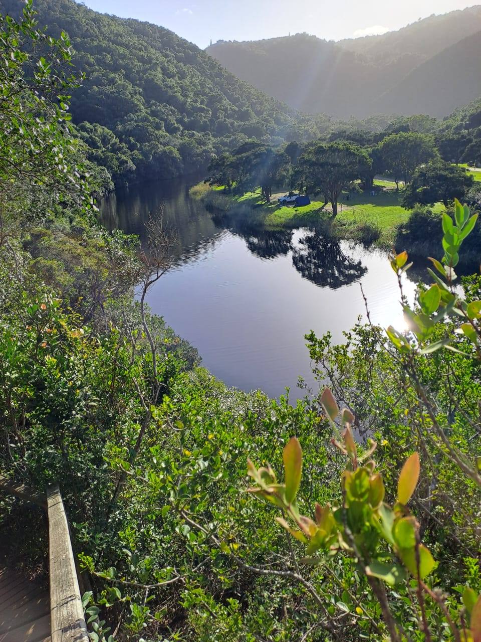 Half Collared Kingfisher Trail