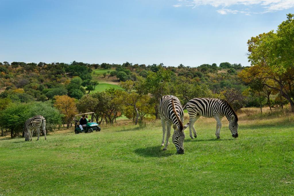 Seasons Golf, Leisure and Spa