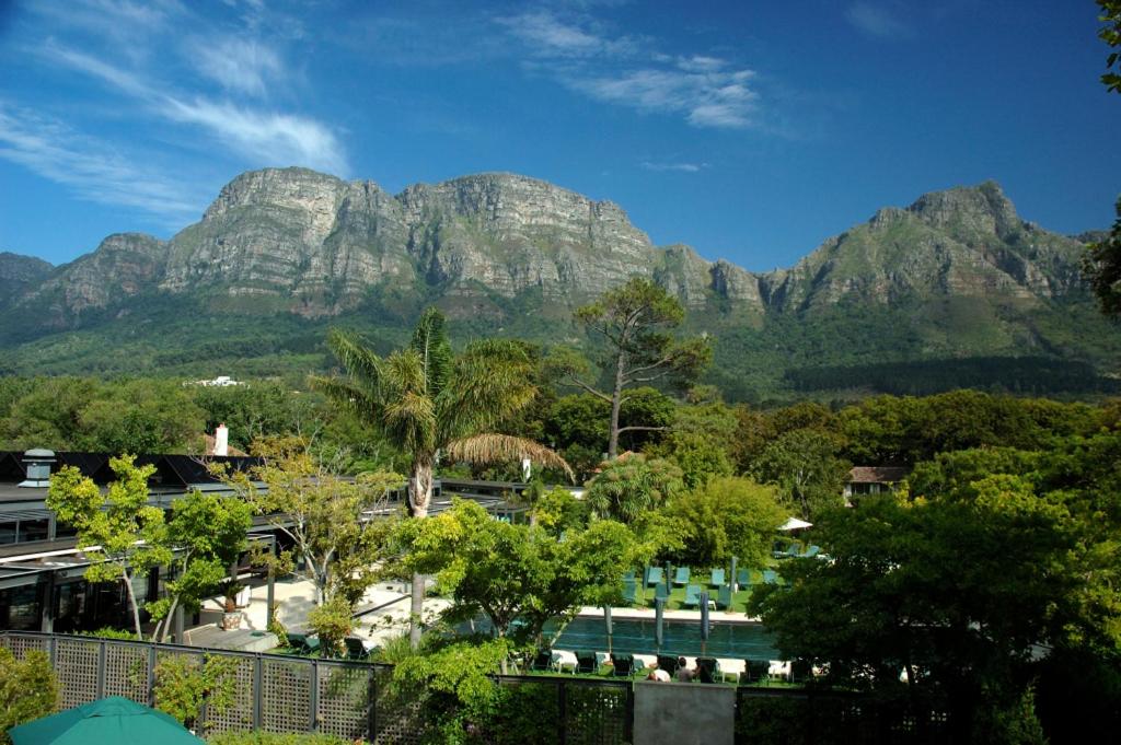 The Vineyard Hotel & Spa