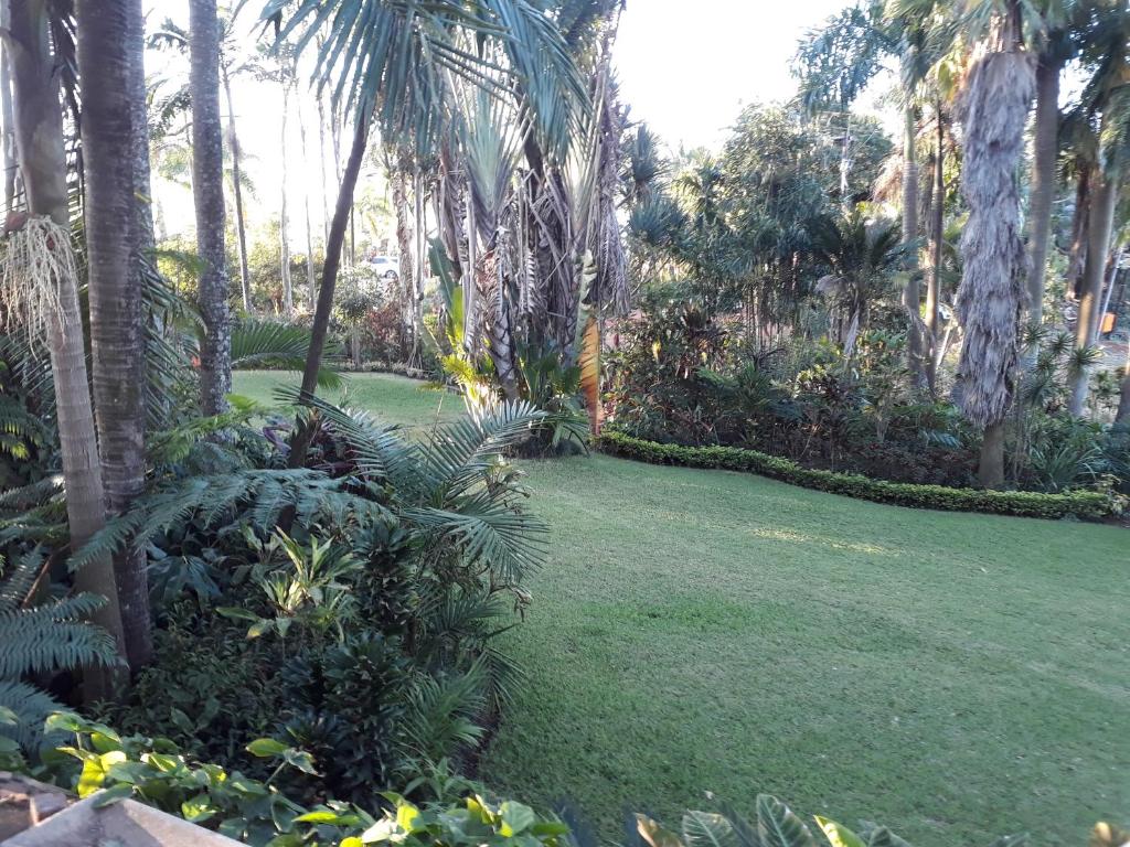 Tzaneen